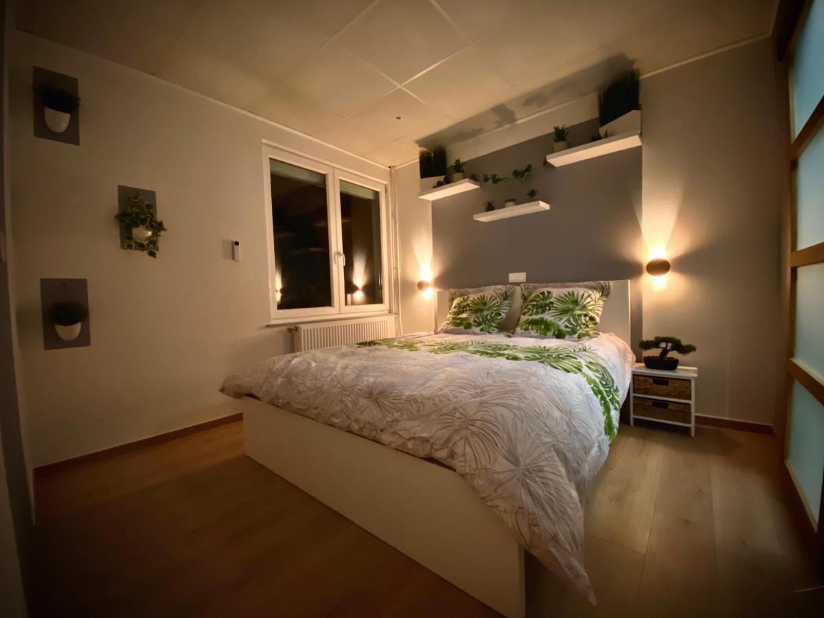 Logements Equipes A Onnaing Avec Espace Balneo En Option Proche Toyota, Autoroute Et Valenciennes Экстерьер фото